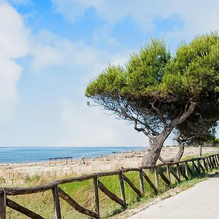 Close To Promenade